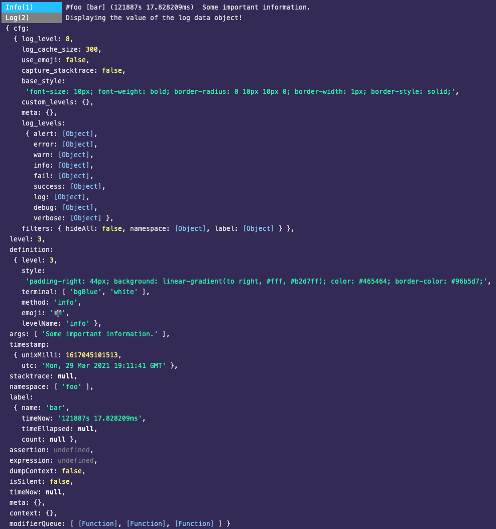 log data example terminal output